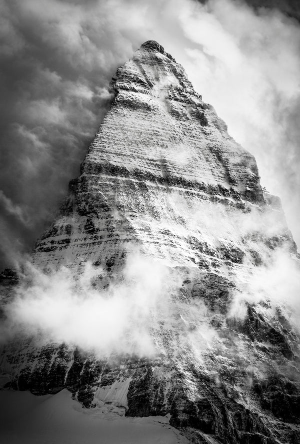 Enduring Heights