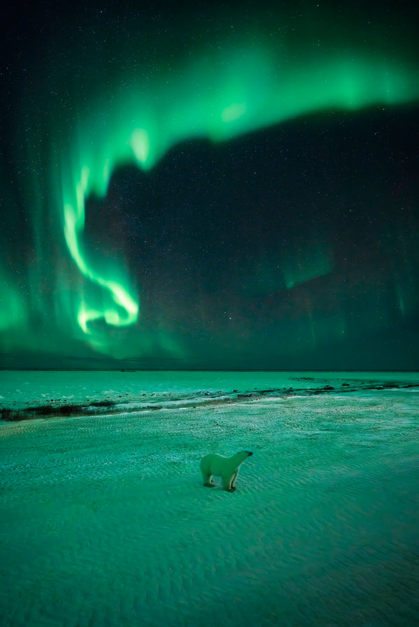 Subarctic Sendoff