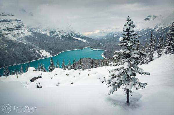 Turquoise Farewell