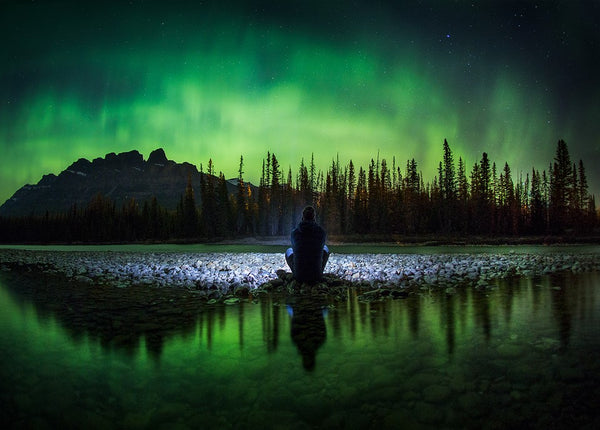 Springtime Spectacle