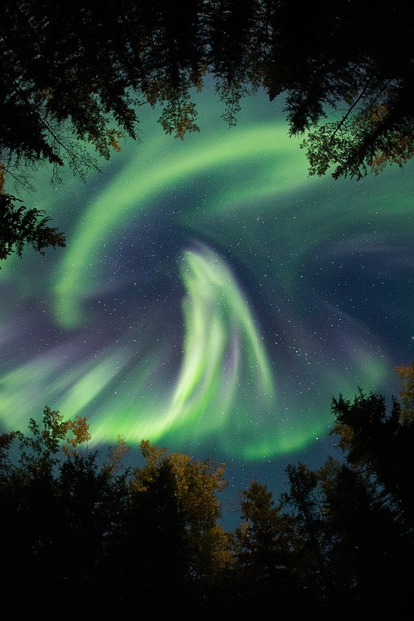 Aurora Swirl