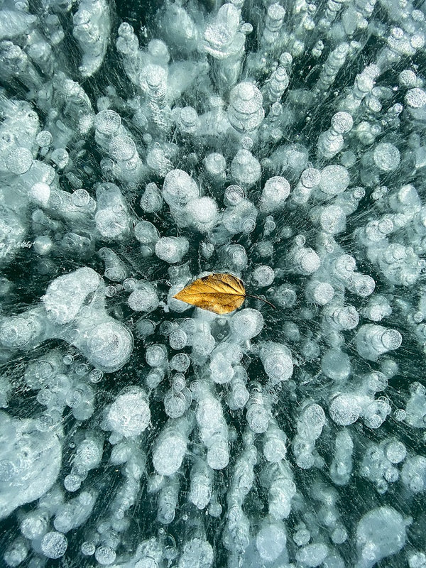Winter's Prisoner