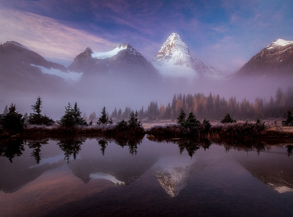 Dreams of Assiniboine