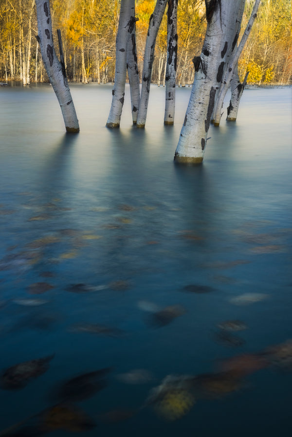 Submerged