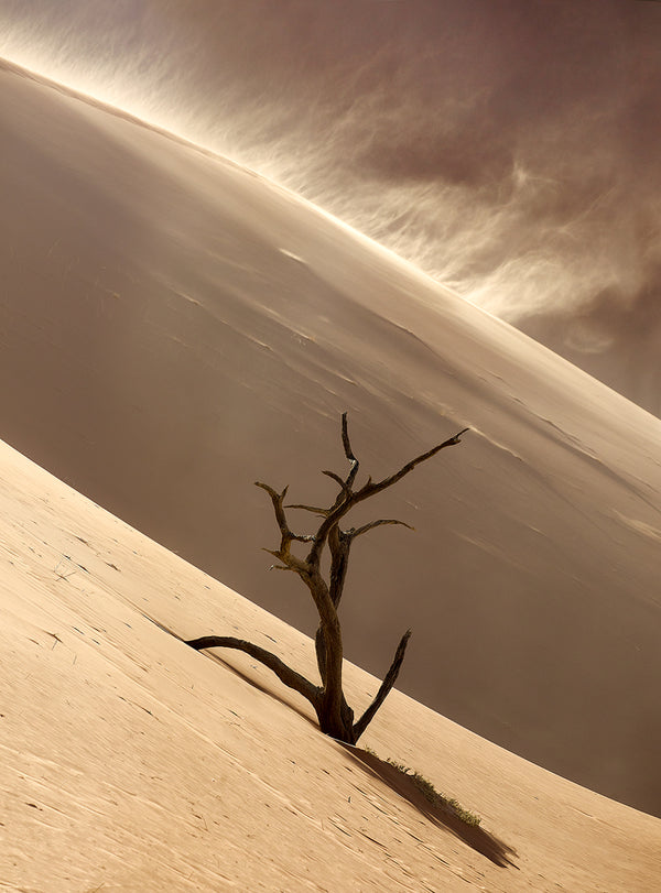 Strength Amidst Shifting Sands