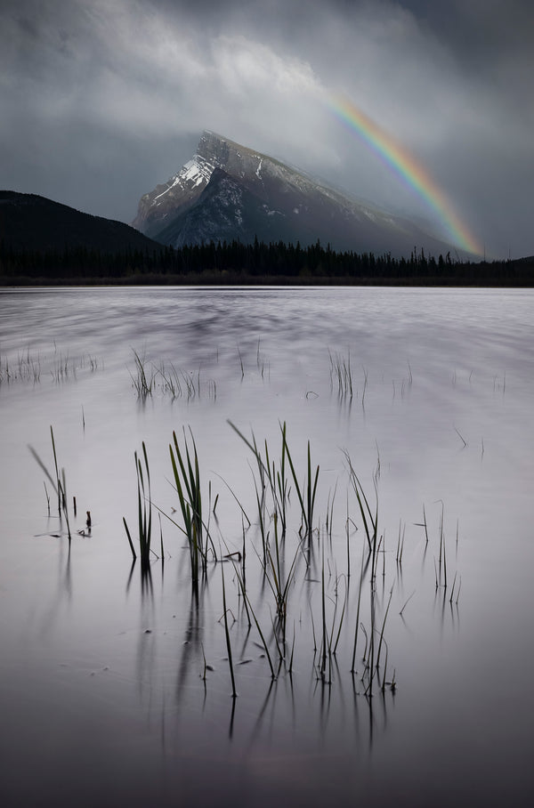 Rundle Rainbow