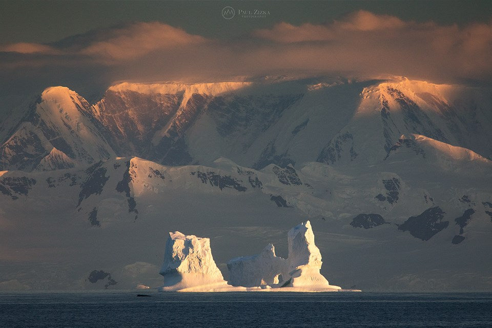 Quintessential Antarctica