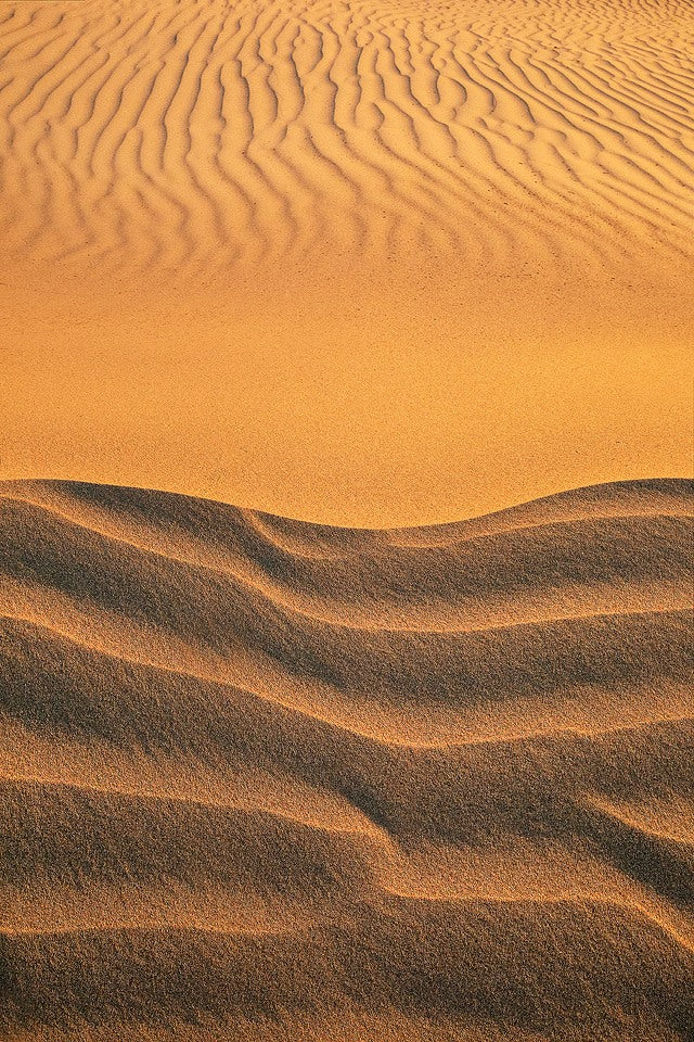 Gobi Sands